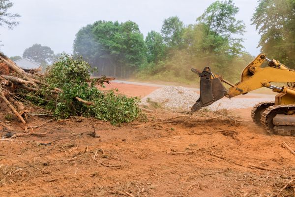 Ground Clearing in Windsor