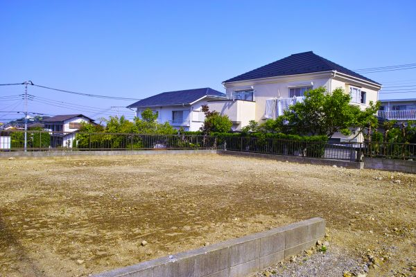 Cost of Lot Clearing Service in Windsor