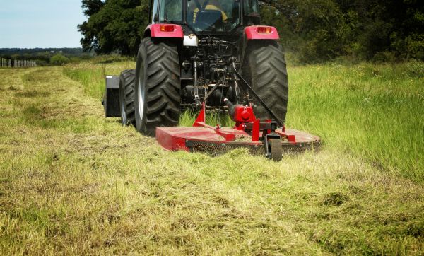 Brush Clearing Service in Windsor