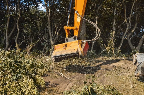 Brush Removal Service in Windsor