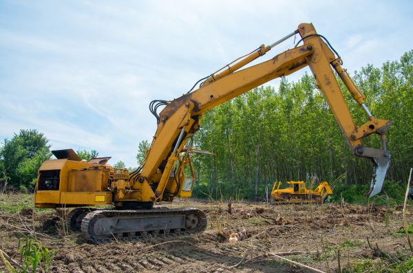Cost of Farm Clearing in Windsor