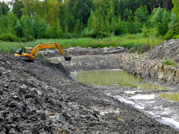 Cost of Lake Lot Clearing in Windsor