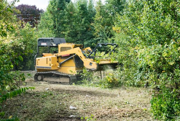 Cost of Pathway Clearing in Windsor