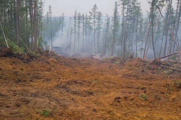 Cost of Hill Clearing in Windsor