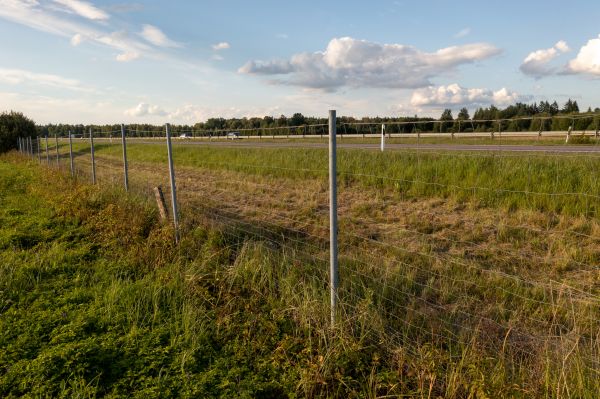 Cost of Property Line Clearing in Windsor