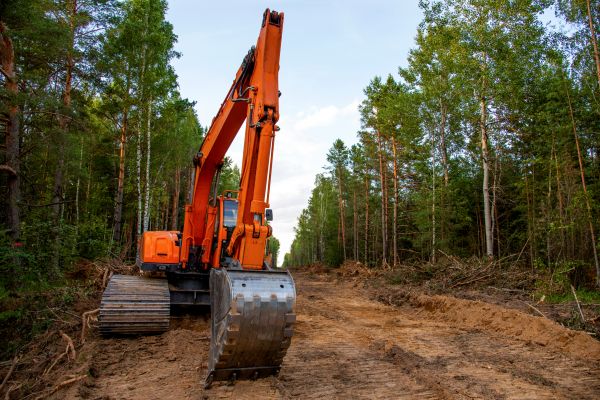 Cost of Backhoe Land Clearing in Windsor
