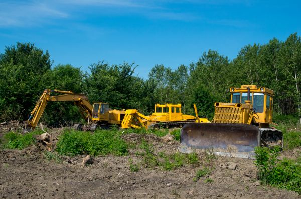Cost of Bulldozer Clearing in Windsor