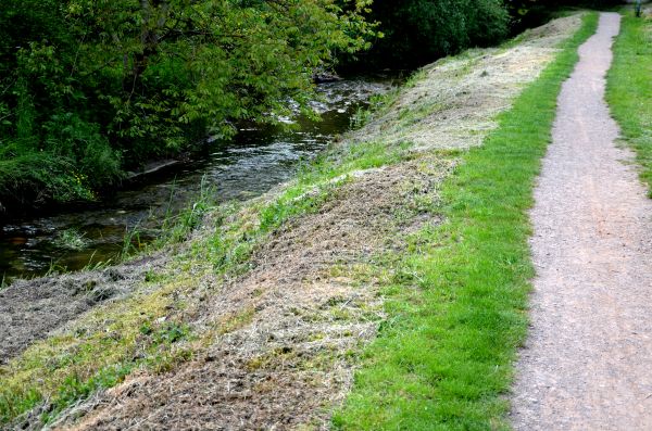 Cost of Trail Cutting in Windsor