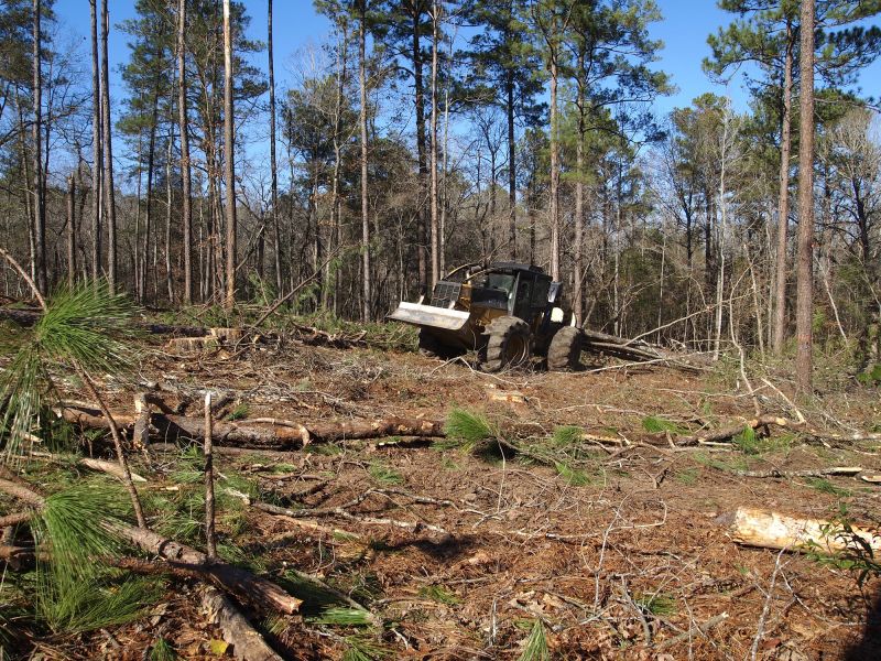 Efficient Land Clearing Equipment